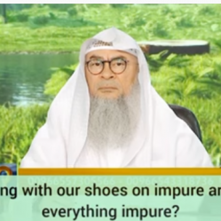 Does walking with shoes on impure areas make everything impure? - Assim al hakeem