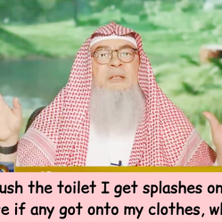 When I flush the toilet I get splashes on my hands but unsure if any got on my clothes, what to do?
