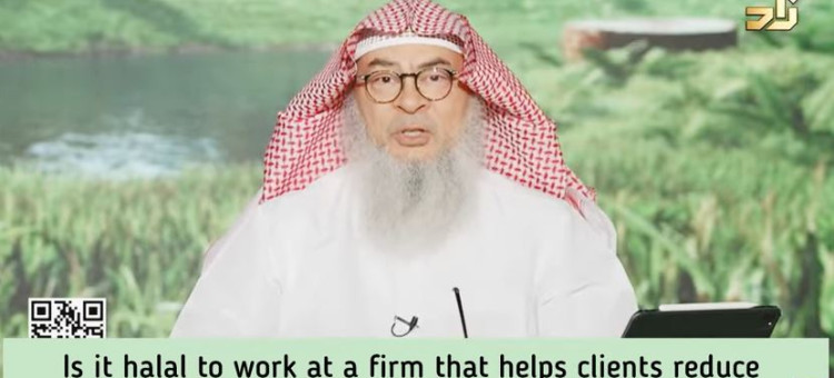 My job is to help client companies in reducing taxes (halal / haram company or both)