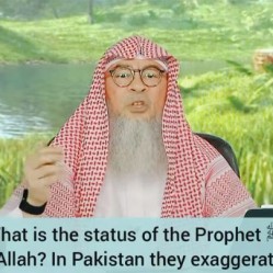 What's the status of Prophet ﷺ‎ at sight of Allah? In Pakistan people exaggerate him