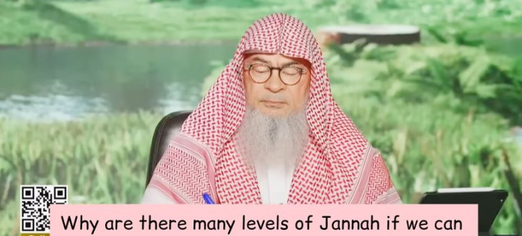 Why are there many levels of Jannah if we can get whatever we want in first level?