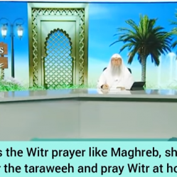 Imam prays witr like maghrib, should I leave after taraweeh & pray witr at home?
