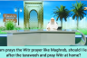 Imam prays witr like maghrib, should I leave after taraweeh & pray witr at home?