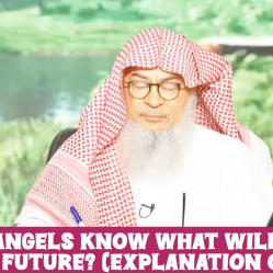 Do Angels know what will happen in the future? Explanation of 2:30 (Quran) #quran assim al hakeem