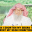 Can I shorten my beard to treat my skin condition? islam #islamic #haram #halal