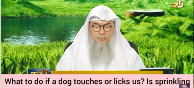 What to do if dog licks you or your clothes? Is sprinkling water over it suffficient