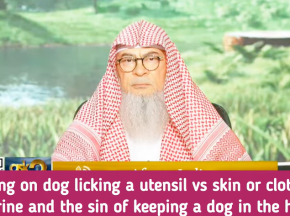 Dog licking a utensil VS your skin or clothes. Its urine & sin of keeping dog as pet