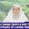 Cn I drink from a cup that has images of living things #islam #islamic #quran #allah