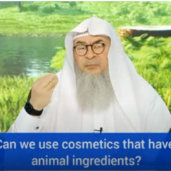 Can we use cosmetics that have animal ingredients?