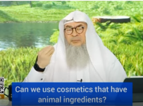 Can we use cosmetics that have animal ingredients?