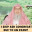 Can I skip prayers due to exams? #islam #islamic #allah #quran #sunnah #halal #haram