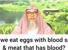 Can we eat eggs with blood spots & meat that has blood in veins etc?