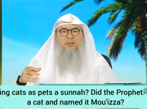 Did Prophet have a cat named Muezza? Is having cats as pets a sunnah?