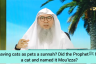 Did Prophet have a cat named Muezza? Is having cats as pets a sunnah?