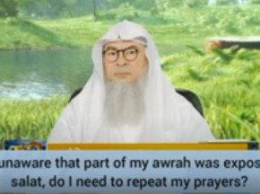 Carelessness during prayers! Was unaware of awrah being exposed during prayer, redo?