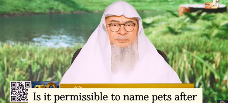 Is it permissible to name Pets after Greek Gods #islam #islamic #quran #allah #hijab