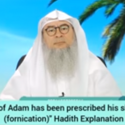 "Every son of Adam has been prescribed his share of Zina (fornication)"