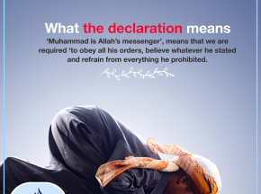 What the declaration means