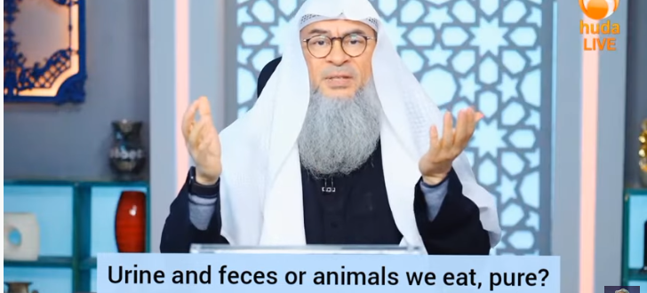 ​Is urine & feces (droppings) of animals we eat, pure? Does it impact our wudu?