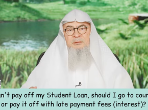 Can't pay off my Student Loan, should I go to court or pay it off with late payment fees (Interest)
