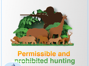 Permissible and prohibited hunting