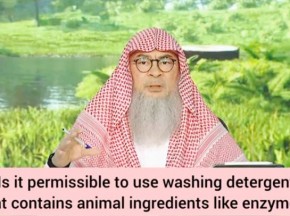 Is it allowed to use washing detergent that contains animal ingredients like enzymes