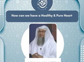How can we have a Healthy Pure Heart