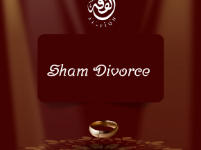 Sham Divorce