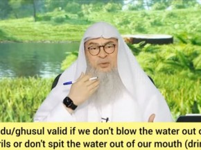 Wudu Ghusl valid if I don't blow water out of nostrils / don't spit it out of mouth?
