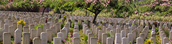 Burial of Muslims in Non-Muslim Graveyards