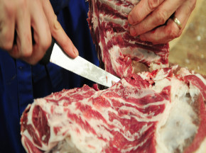 Enquiring about the Method of Slaughter and Other Doubtful Foods