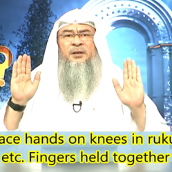 ​How to place hands on knees in Ruku Sujood, Tashahhud, etc. Fingers held together or apart?