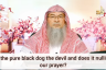 Is the pure black dog the devil & does it nullify our prayer?