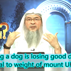 Having a dog is losing good deeds everyday equal to the weight of mount uhud