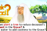 Can we plant a tree to reduce torment of grave & Pour water for coolness of the grave