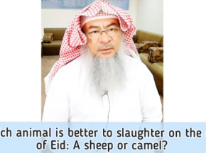 Which animal is better to sacrifice for Eid (Qurbani/ Udhiyah)