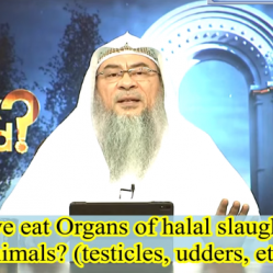 Can we eat all the Organs of halal slaughtered animals like Testicles, Udder etc?