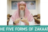 The five forms of Zakat