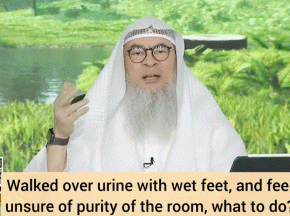 Walked over urine with wet feet, feel unsure of purity of the room What to do #assim
