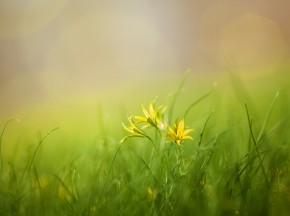 God’s legislation for religion and life: Both are the same.