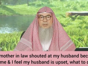 Evil mother in law shouted at husband cuz of me My husband is upset at me What to do