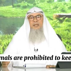 What animals are prohibited to keep as pets? #Assim
