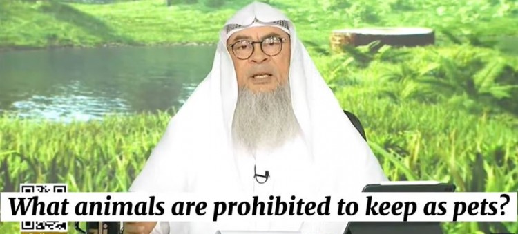 What animals are prohibited to keep as pets? #Assim