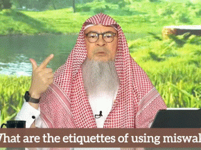 Etiquette of using Miswak Can we use it in public In front of other people, meetings assim al hakeem