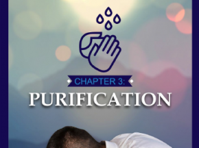 Purification